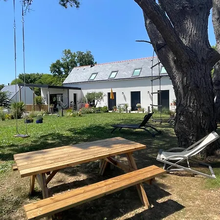 Ty Glazu Neuve Grand Confort, Jardin 1600m2, Gr34, Criques, Restos Et Port Doelan A Pied *